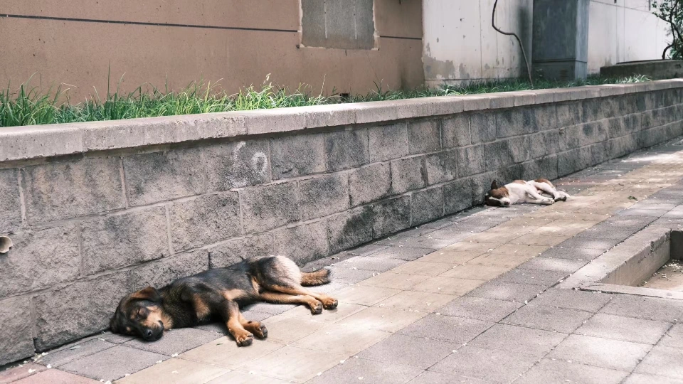 Comfortable